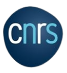 CNRS Logo